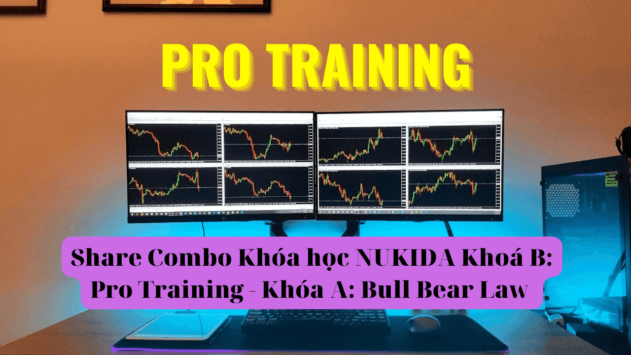 Khóa học NUKIDA Khóa A: Bull Bear Law, Khoá B: Pro Training