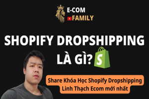 khóa Học shopify dropshipping