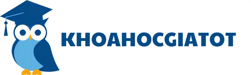 Khóa Học Giá Tốt